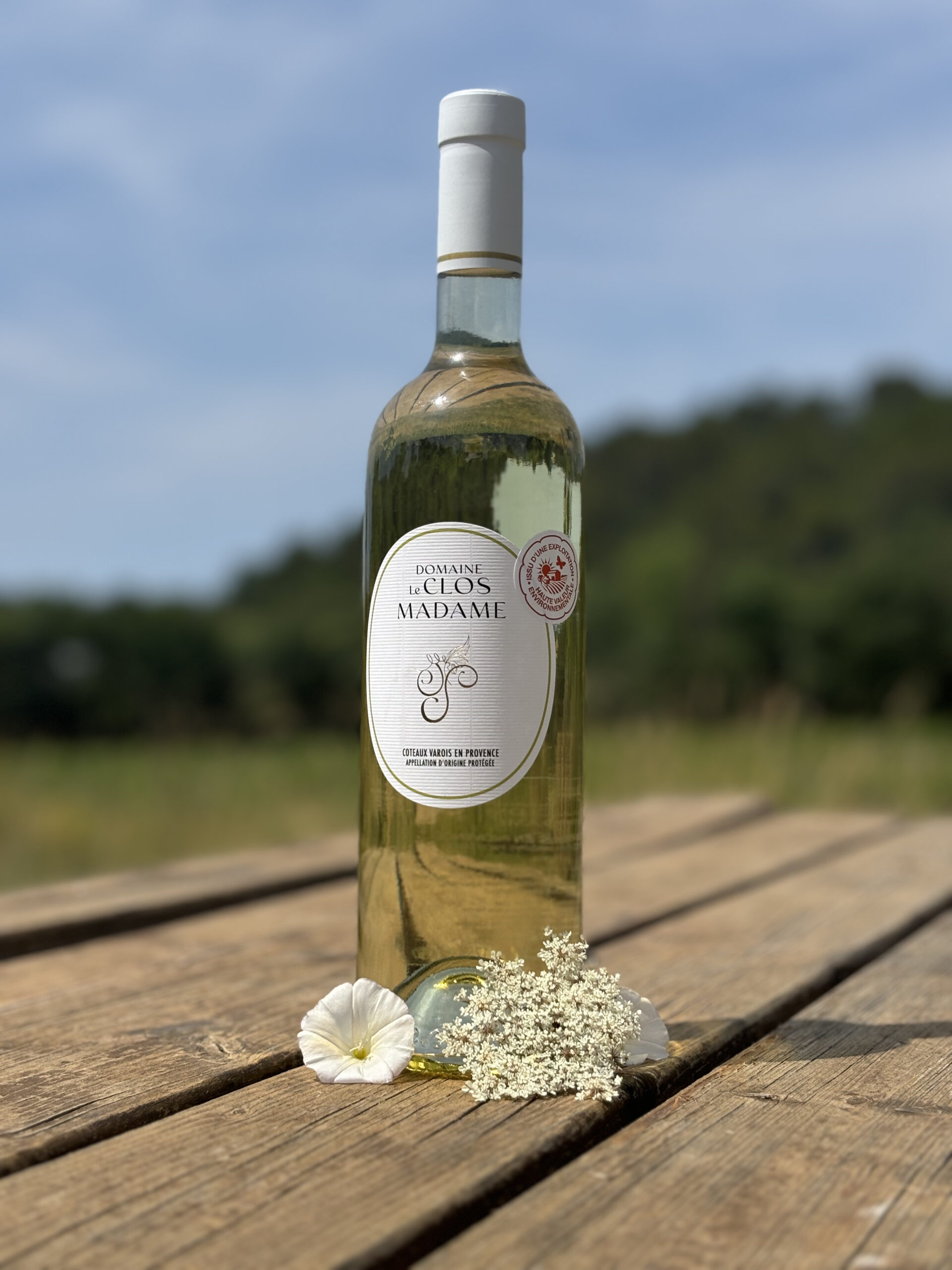 IMG_2841 domaine viticole le clos madame bras 83149 blanc
