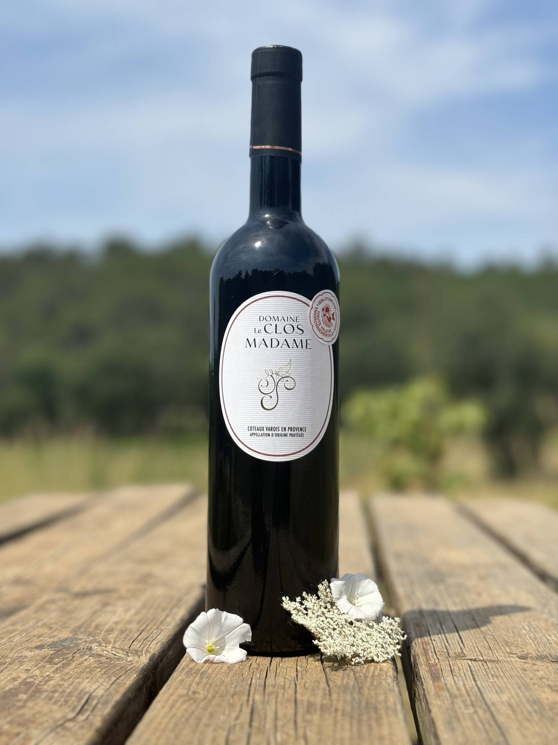 IMG_2847 domaine viticole le clos madame bras 83149 rouge